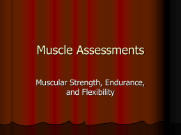 Muscle Assessments