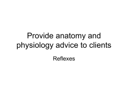 Provide anatomy and physiology advice to clients