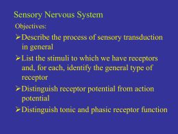 Sensory systems