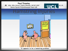Hamstring UCL - Elite Physical Medicine