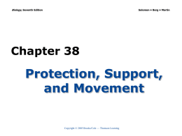 Chapter 38 - Biology Junction