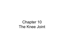 Chapter 10 The Knee Joint