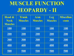 MUSCLE FUNCTION JEOPARDY