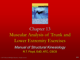 Muscular Analysis of Trunk and Lower Extremity Exercises