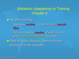 7. Metabolic Adaptations to Exercise.