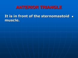 10-Anterior triangle