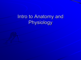 Notes: Intro to Anatomy and Physiology