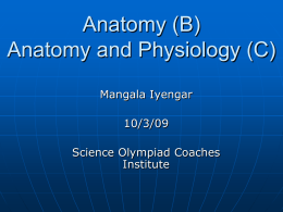 Anatomy/Health Science