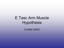 E Tasc Arm Muscle Hypothesis