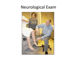 2b Neurological Exam