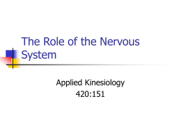 Presentation 5: The Role of the Nervous System