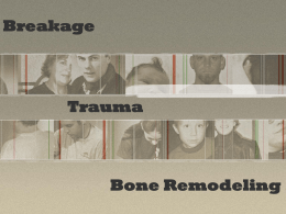 Bone remodelling 2