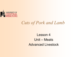 Student Notes - Pork & Lamb Cuts