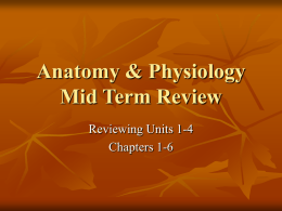 Anatomy & Physiology Mid Term Review