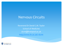 Nervous circuits
