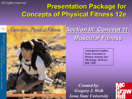 11-Muscular Fitness
