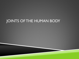 Joints of the Human_Body
