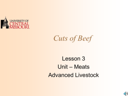 Student Notes - Beef Cuts