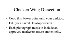 Chicken Wing Dissection - aliciajackmanwashington