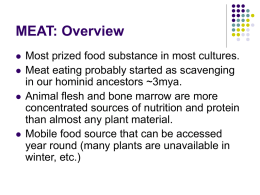 MEAT: Overview - The Beacon School