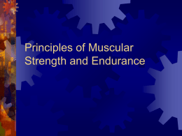 Principles of Muscular Strength and Endurance