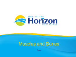 muscles_and_bone_strengthening_horizon_0
