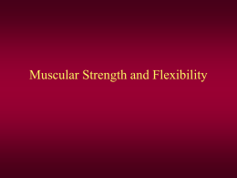 Muscular Strength and Flexibity