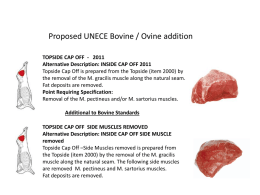 Proposed UNECE Bovine / Ovine addition