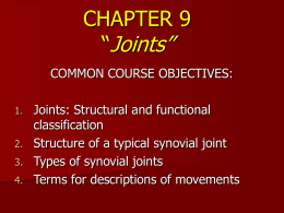 CHAPTER 9 “Joints and Articulations”