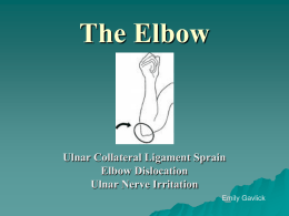 The Elbow - Emily Gavlick
