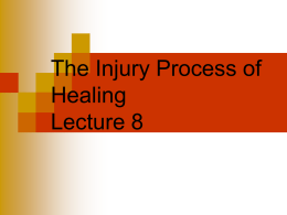 Lecture 7 The Injury Process
