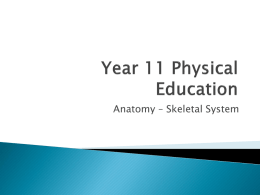 Year 11 Physical Education - PE-Teaching