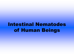 Intestinal Nematodes of Human Beings