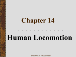 Chapter 36: Human Skeletal and Muscle Systems