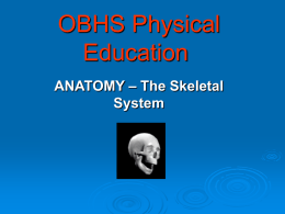 Skeleton PPT AW - PE-Teaching
