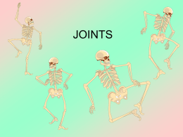 the skeleton - Biology