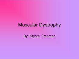 Muscular Dystrophy - Freeman2301porfolio