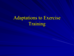Adaptations to Exercise Training