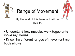 Range of Movement