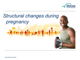 Structural changes during pregnancy