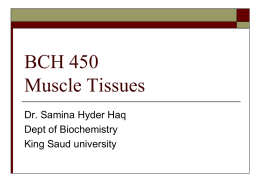 BCH 443 Muscle Tissues