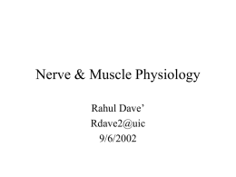Nerve & Muscle Physiology Review