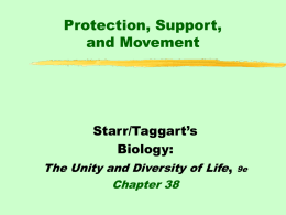 Starr & Taggart Chapter 38 PowerPoint