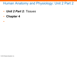 Unit 2 Cells and Tissues Part 2 notes