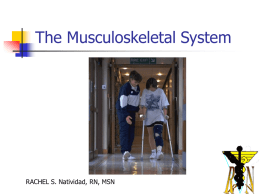 The Musculoskeletal System Fall 07_website version