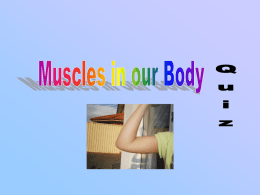 Muscles in our body Quiz