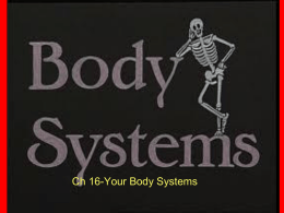 Ch 16-Your Body Systems