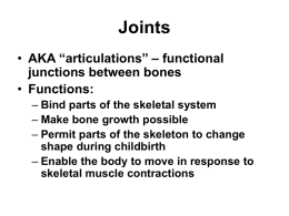 Joints and Joint Movements