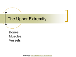 The Upper Extremity