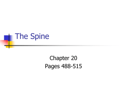 The Spine - Chapter 1
